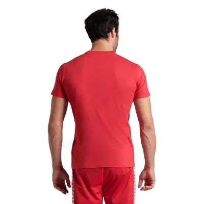 Чоловіча футболка Arena T-SHIRT TEAM
