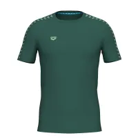 Чоловіча футболка Arena T-SHIRT TEAM