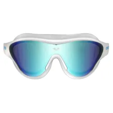 Окуляри для плавання Arena THE ONE MASK MIRROR