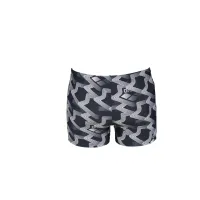 Плавки Arena M PRINTED ICONIC SHORT