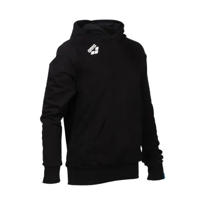 Дитячий реглан Arena R TEAM HOODED SWEAT PANEL