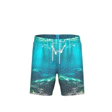 Чоловічі шорти для плавання Arena WATER PRINTS BEACH BOXER