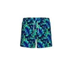 Чоловічі плавальні шорти Arena WATER PRINTS BEACH SHORT AO