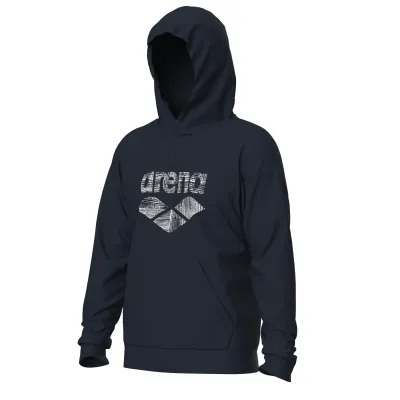 Чоловіче худі Arena UNBRUSHED HOODED SWEAT L