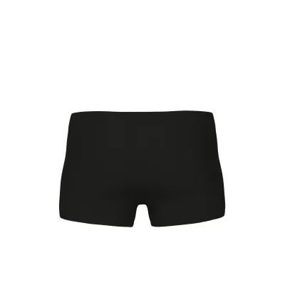 Чоловічі плавки Arena POSEIDONIA SWIM SHORT