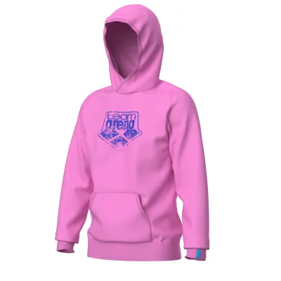 Худі Arena HOODED SWEAT LOGO
