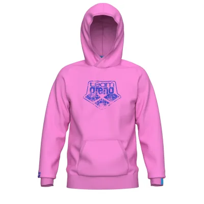 Худі Arena HOODED SWEAT LOGO