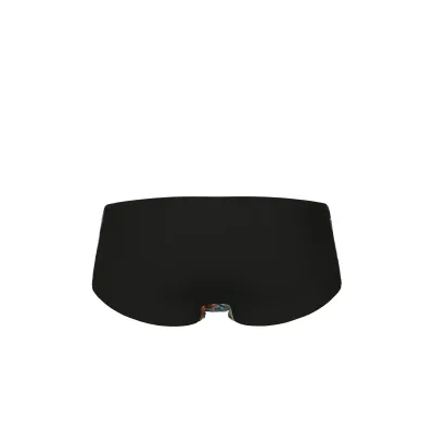 Чоловічі плавки Arena IGUANAS SWIM LOW W