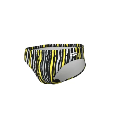 Чоловічі плавки Arena STRIPES SWIM BRIEFS