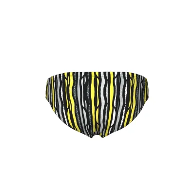 Чоловічі плавки Arena STRIPES SWIM BRIEFS