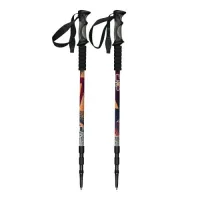 Трекінгові палиці CMP BERN TREKKING POLES