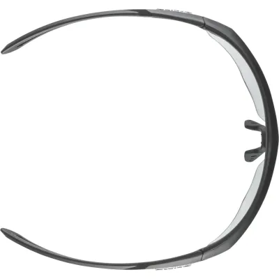 Окуляри сонцезахисні Alpina NYLOS HR