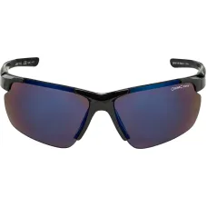 Окуляри сонцезахисні Alpina DEFEY HR