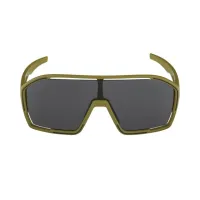 Окуляри сонцезахисні Alpina BONFIRE