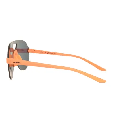 Окуляри сонцезахисні Alpina BEAM II