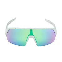 Сонцезахисні окуляри Alpina TURBO HR