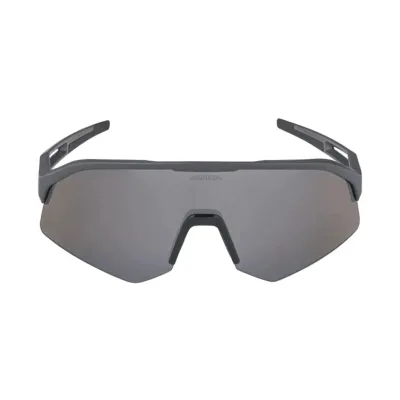 Сонцезахисні окуляри Alpina SONIC HR