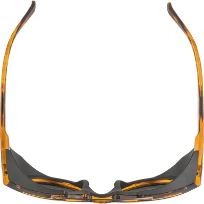 Окуляри сонцезахисні Alpina GLACE