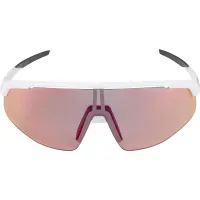 Окуляри сонцезахисні Alpina TURBO PRO QV