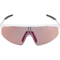 Окуляри сонцезахисні Alpina TURBO PRO S QV