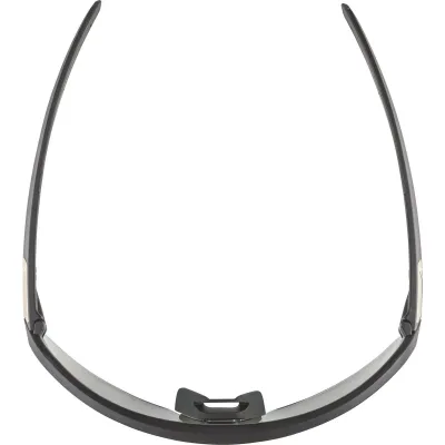 Окуляри сонцезахисні Alpina TURBO PRO S QV