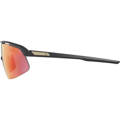 Окуляри сонцезахисні Alpina TURBO PRO S QV