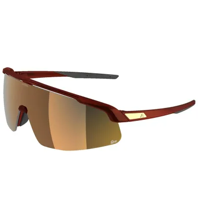 Окуляри сонцезахисні Alpina TURBO PRO S Q-LITE