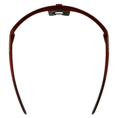 Окуляри сонцезахисні Alpina TURBO PRO S Q-LITE