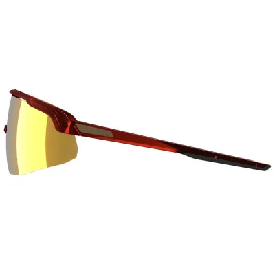 Окуляри сонцезахисні Alpina TURBO PRO S Q-LITE