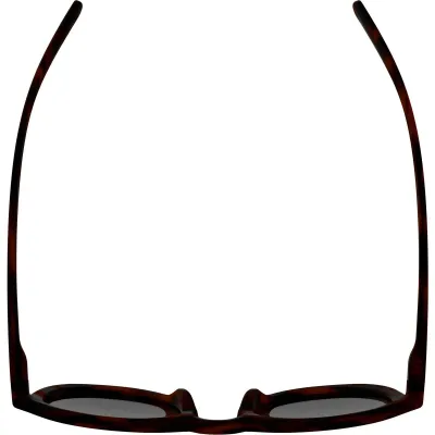 Окуляри сонцезахисні Alpina SNEEK 2.0