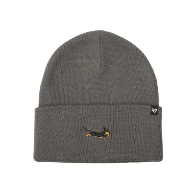 Шапка 47 Brand DOG BASE RUNNER