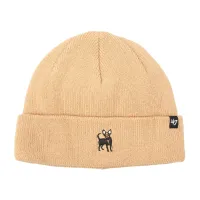 Шапка 47 Brand DOG RANDLE