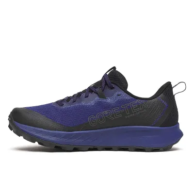 Чоловічі кросівки Saucony PEREGRINE 15 GTX